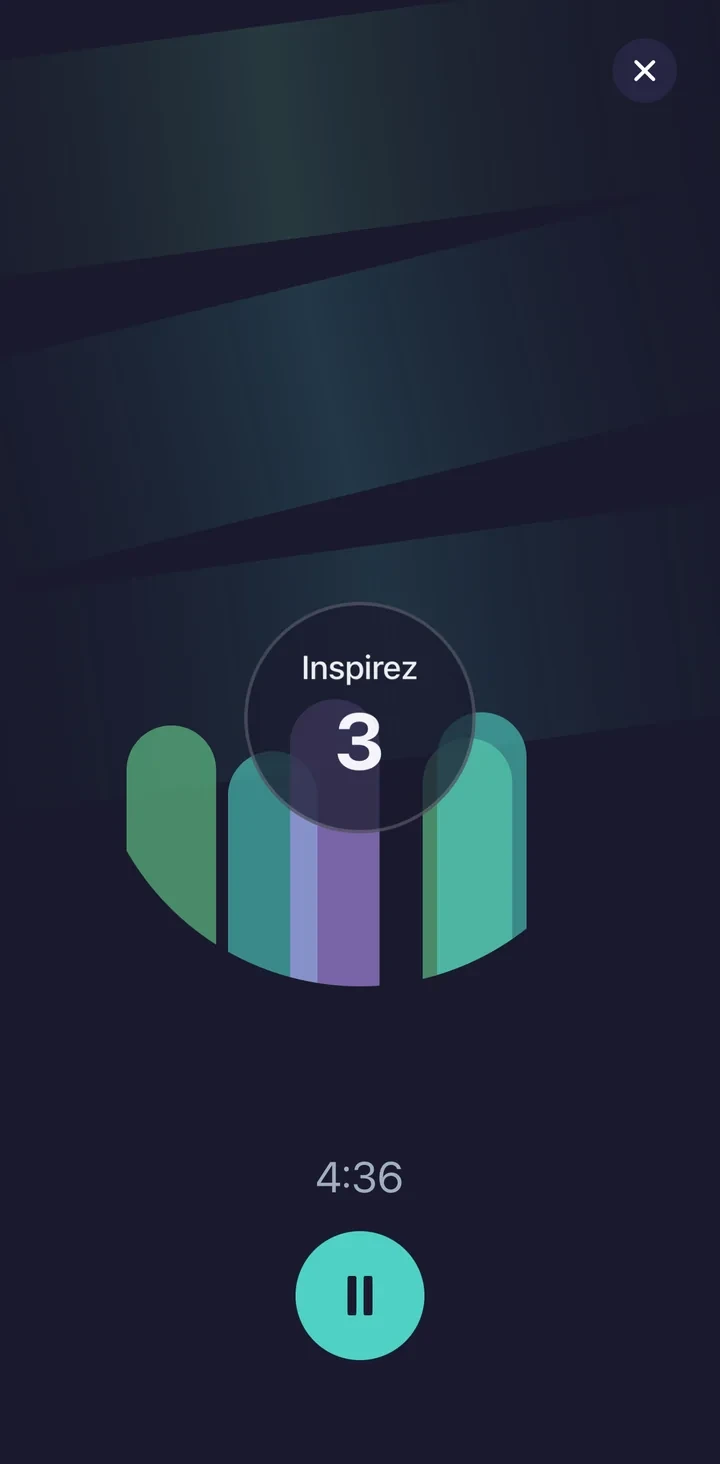 Flow Breath App Screenshot