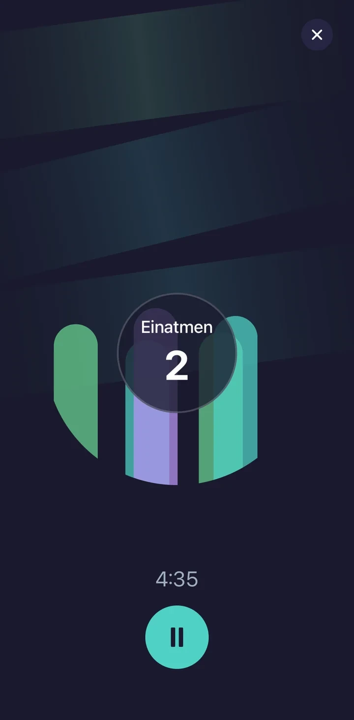 Flow Breath App Screenshot