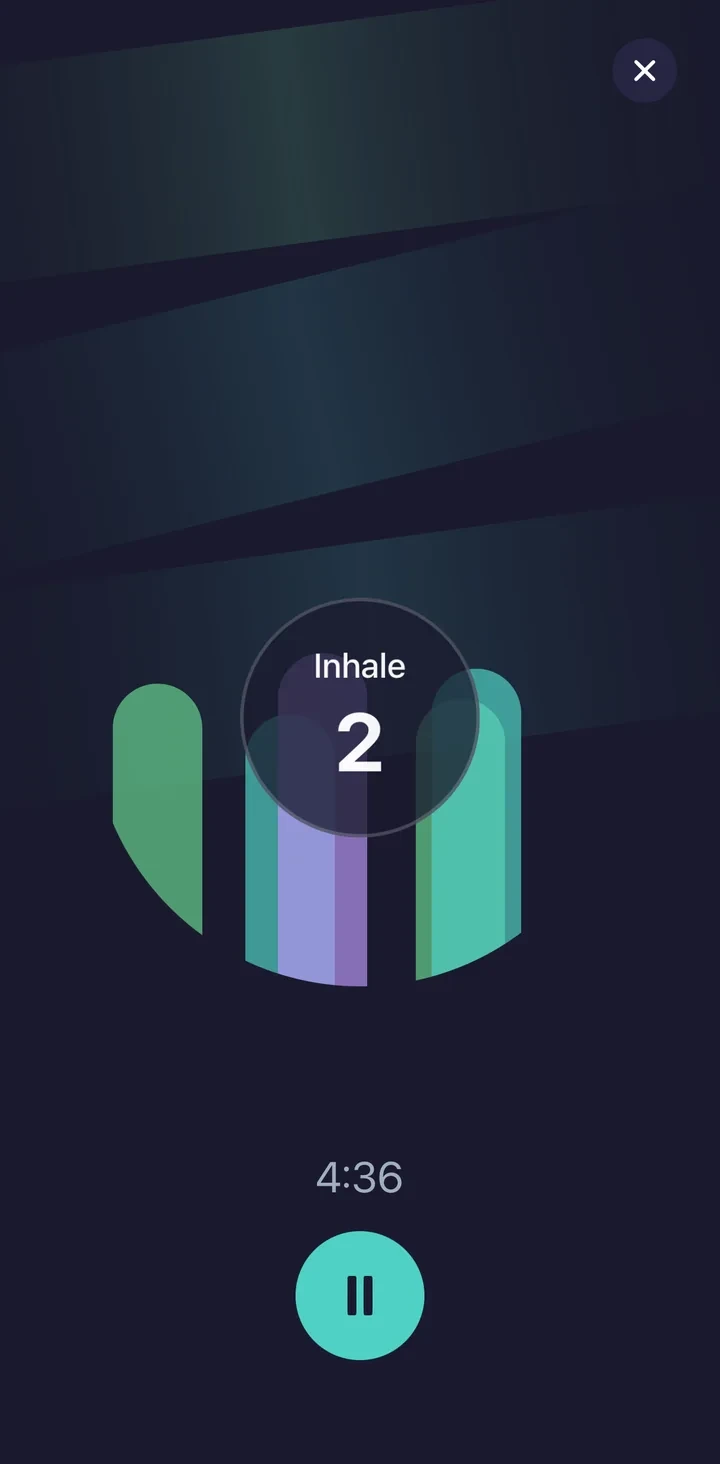 Flow Breath App Screenshot