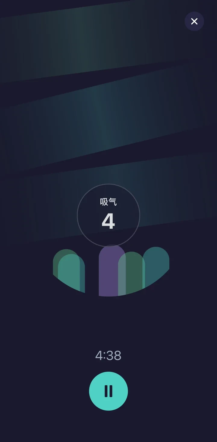Flow Breath App Screenshot